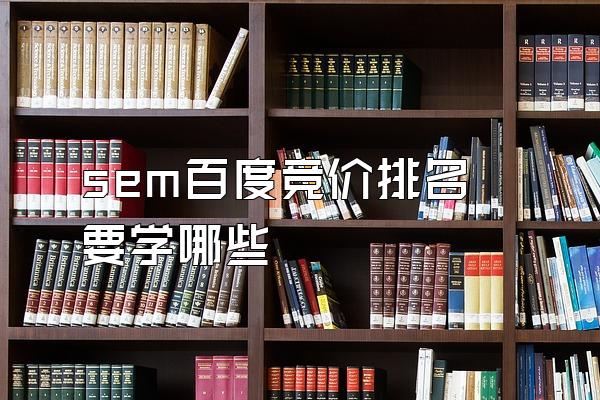 sem百度竞价排名要学哪些