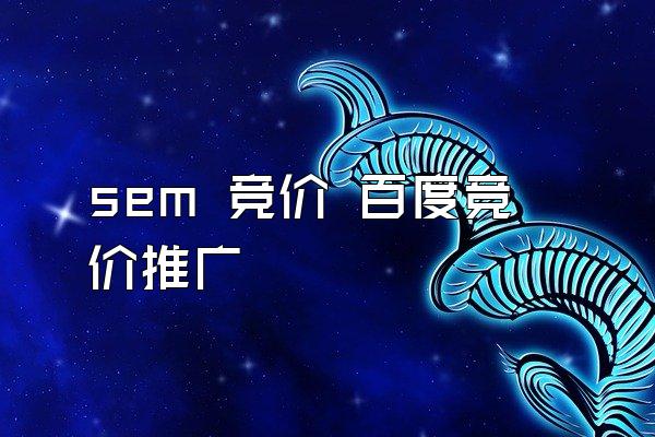 sem 竞价 百度竞价推广