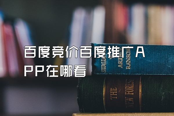 百度竞价百度推广APP在哪看