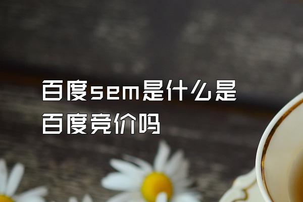 百度sem是什么是百度竞价吗