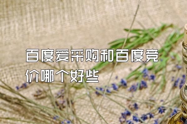 百度爱采购和百度竞价哪个好些