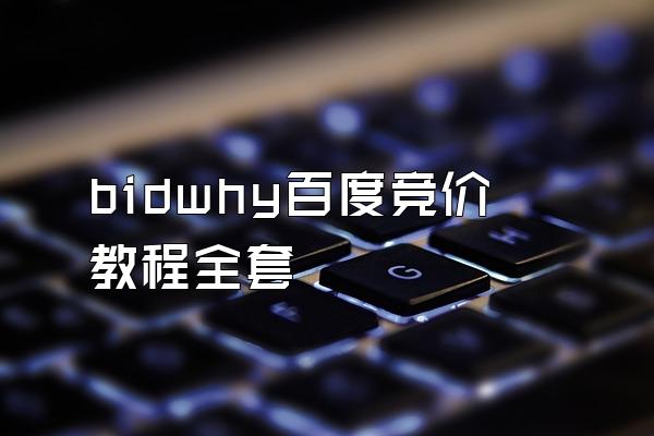 bidwhy百度竞价教程全套