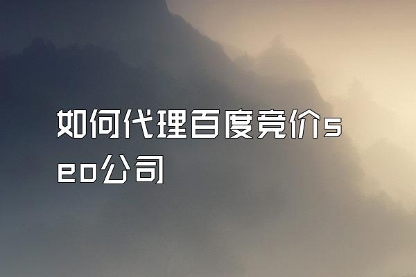 如何代理百度竞价seo公司