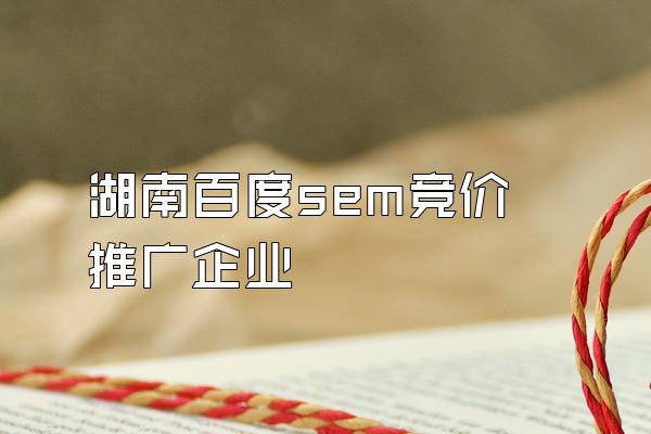 湖南百度sem竞价推广企业