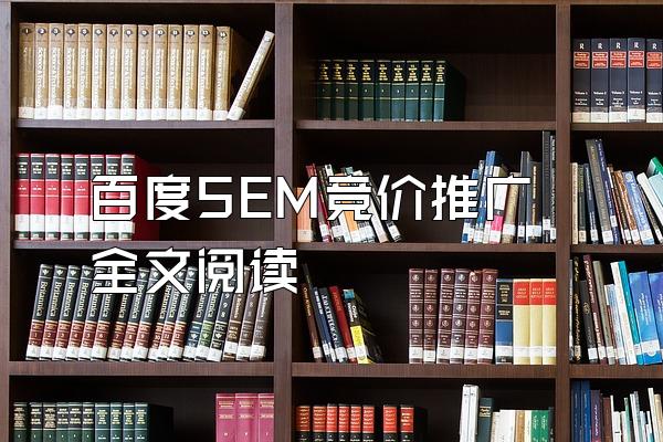 百度SEM竞价推广全文阅读