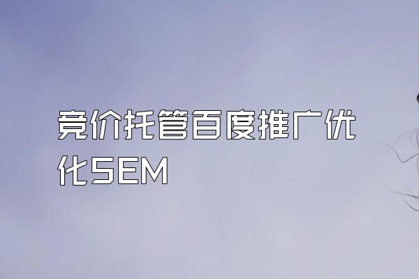 竞价托管百度推广优化SEM