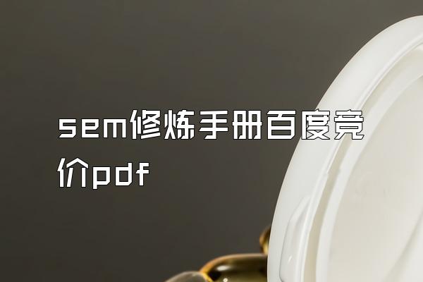 sem修炼手册百度竞价pdf