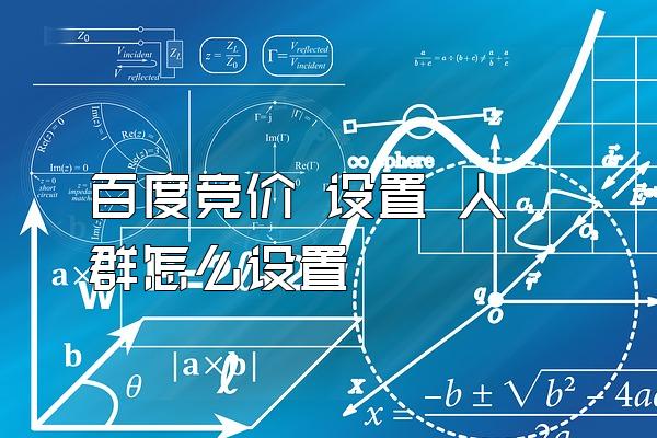 百度竞价 设置 人群怎么设置