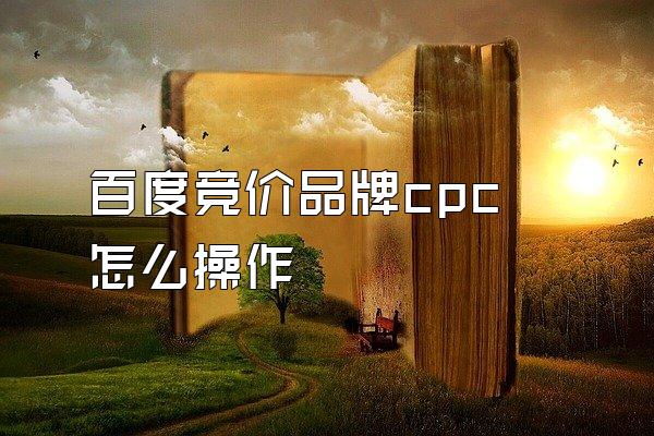 百度竞价品牌cpc怎么操作
