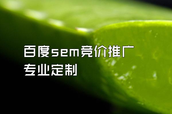 百度sem竞价推广专业定制