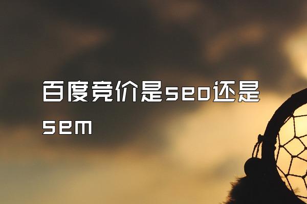 百度竞价是seo还是sem