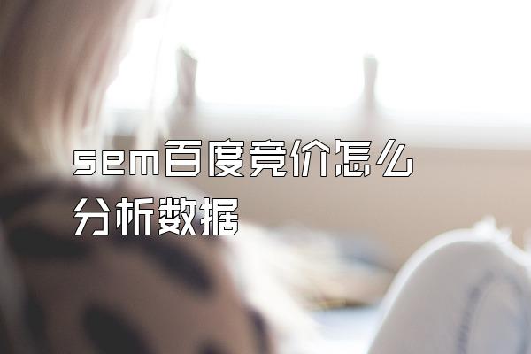 sem百度竞价怎么分析数据