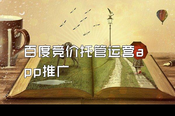 百度竞价托管运营app推广