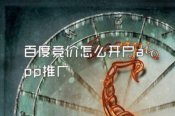 百度竞价怎么开户app推广